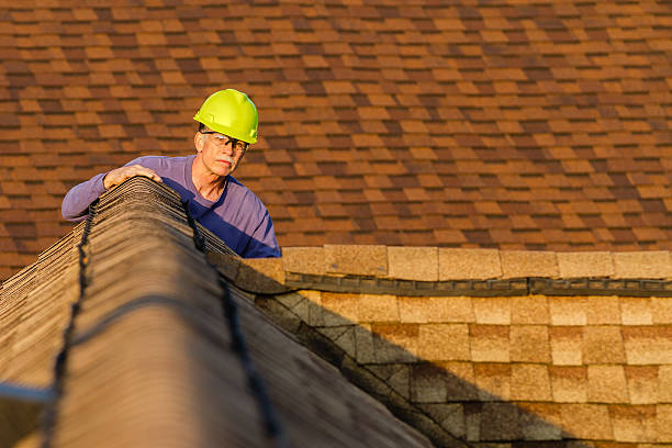 Roof Gutter Cleaning in Velda City, MO